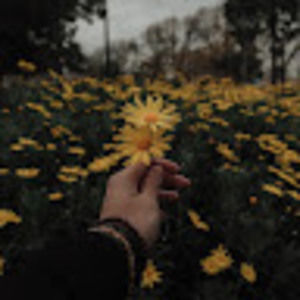 Meet your Posher, Scarlet